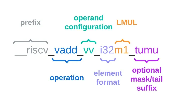 rvv intrinsics nameing rule